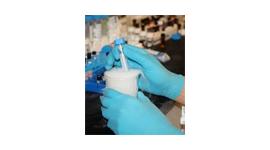 Examination Gloves
