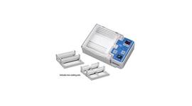 Benchmark Electrophoresis