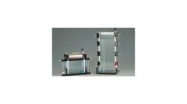 Shelton Electrophoresis