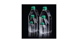 Tissue Culture Flasks