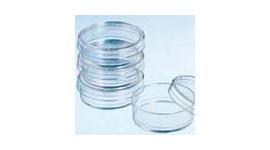 Tissue Culture Dishes