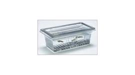 Fish Tanks