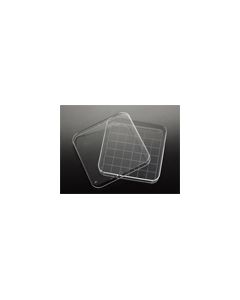 Square Petri Dish with Grid, Simport