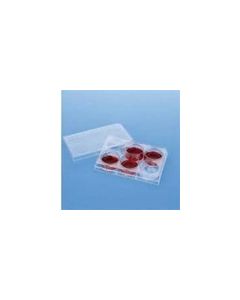 Falcon® Cell Culture Companion Plates for Inserts, Sterile, Corning®