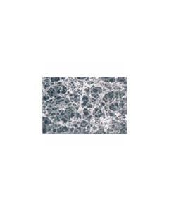 Membrane Filters - Supported Cellulose Acetate, AcetatePlus, Maine Manufacturing