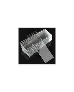 Diamond™ White Glass Microscope Slides, Plain, Globe Scientific