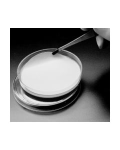 Membranes - Hybridization and Transfer, Supported Nitrocellulose, Nitropure, Maine Manufactruing